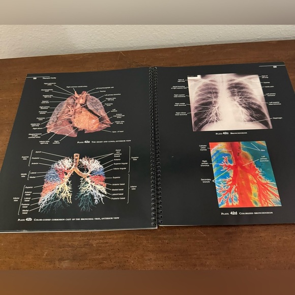 Martin’s Atlas of the Human Body 9th Edition - Picture 4 of 8